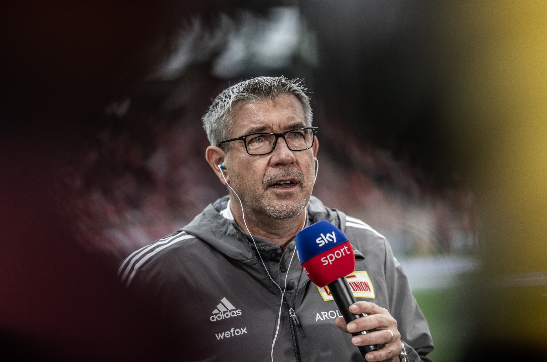 毛球世界联 毛球世界联